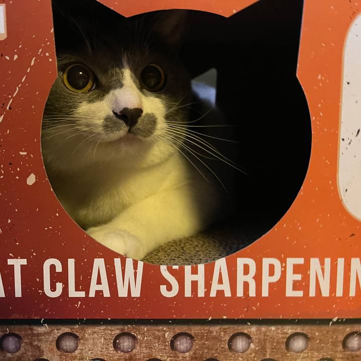 E34bfa52 78fc 46b5 b931 34de4689104f 1662422380263