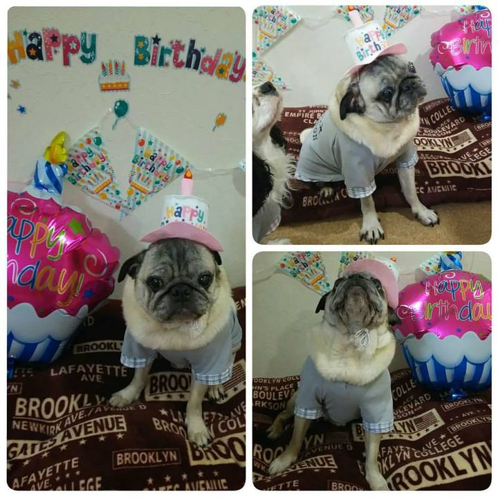 E34c0726 d24e 4e4f 9e63 c73f7948cdd1 1558664288660