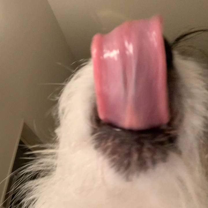 E34c24c0 85d9 413e a40b 22e46c8043cb 1645700327588