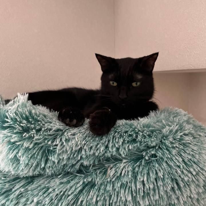 E34c4943 4e93 4db2 b64c cdde4fad12a7 1764158049622