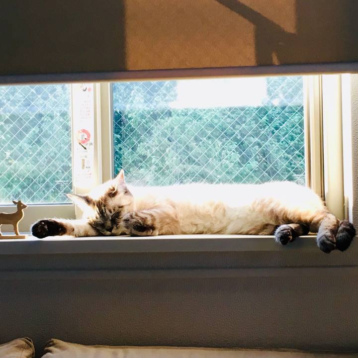 E34c5655 70df 4596 8137 7b1fcd496442 1593680008684