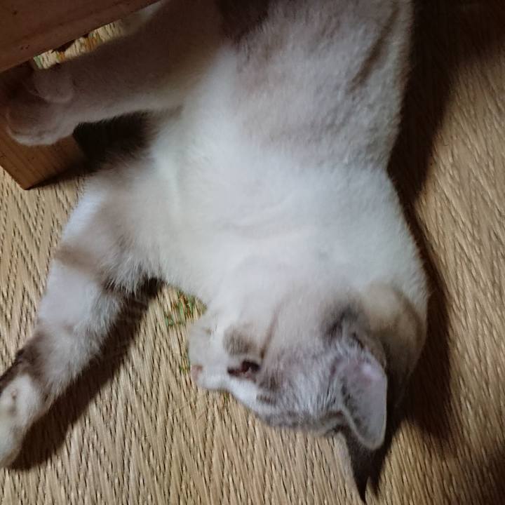 E34c9ba0 2e70 4f89 b3d7 56fe4ccd51aa 1538228821325