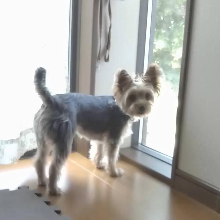 E34cb81a 96ee 4f6f addb 10b51722fb0b 1626161959983