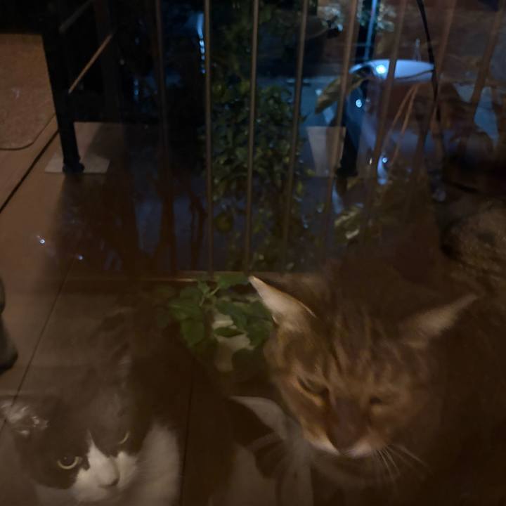 E34ce38e 3abc 40c9 a0e9 be8974e4d8f6 1762509291616