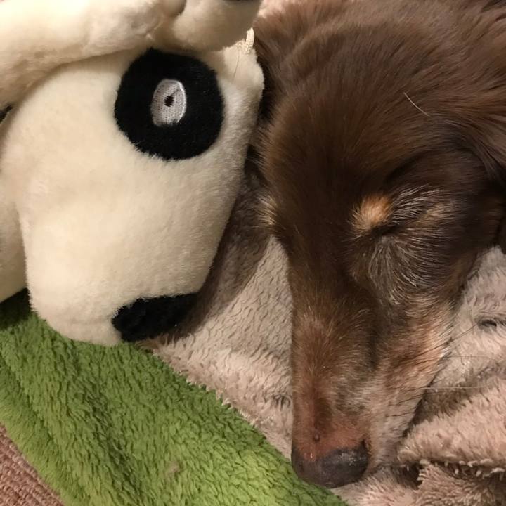 E34cfe66 a8ba 4a5b a672 836f6aea979d 1545057831766