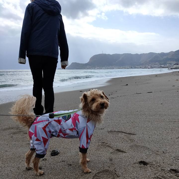 E34d194c ec78 4cdc 8de2 975c4677a7ee 1603626882459