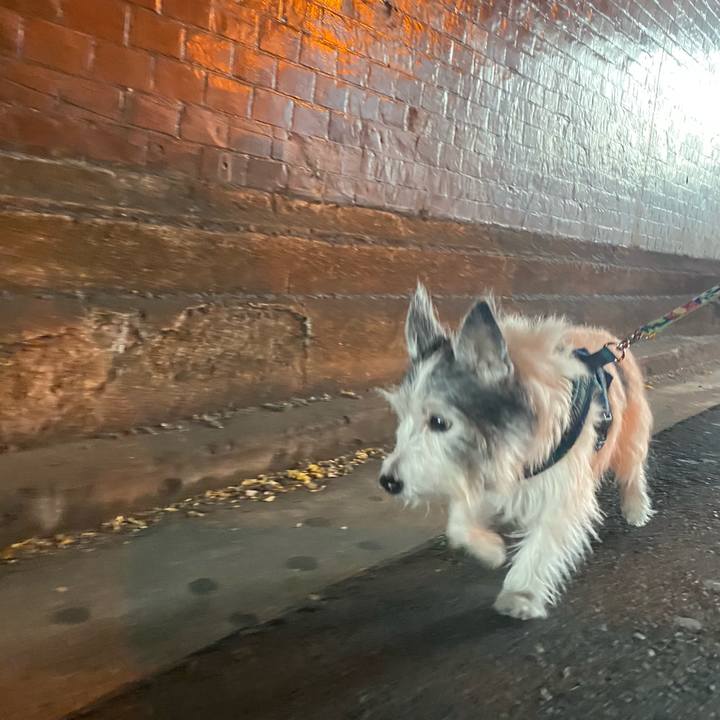 E34d1b46 3583 4a6a 9347 792710f3b882 1610277732053