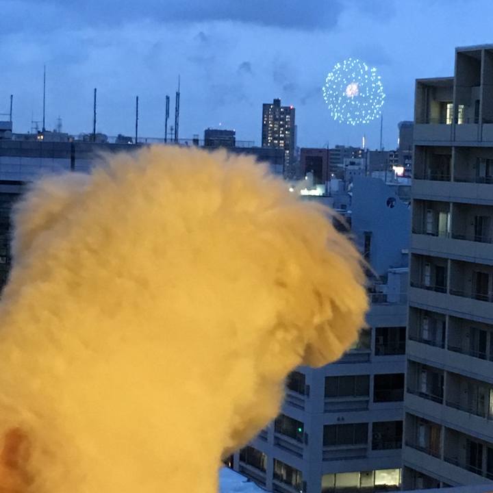 E34d2bfd f800 4fd8 a7be e4b12af082d4 1564222060522