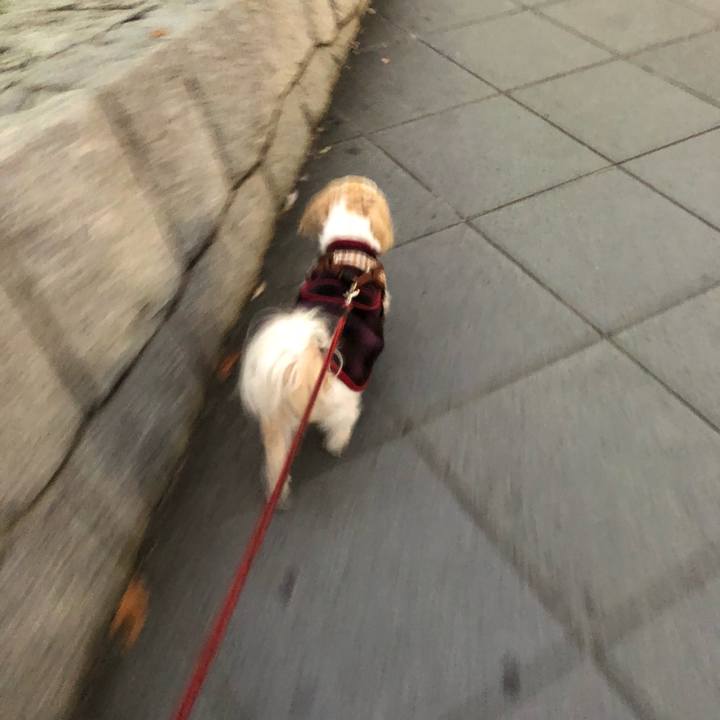 E34d437b dcb9 48dd b379 251f2da16c50 1543268865184