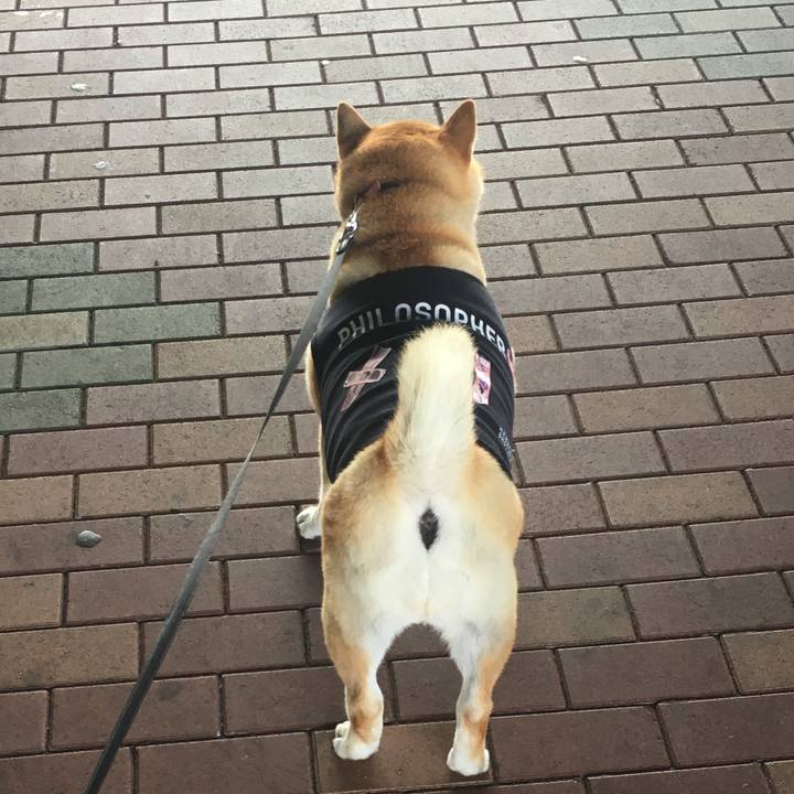 E34d9639 9578 48f8 a964 78d3686dc91a 1572499178599