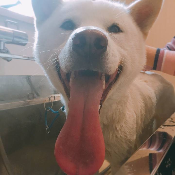 E34dac40 b59e 47c2 93c5 0cebe8e41c9f 1522211833056