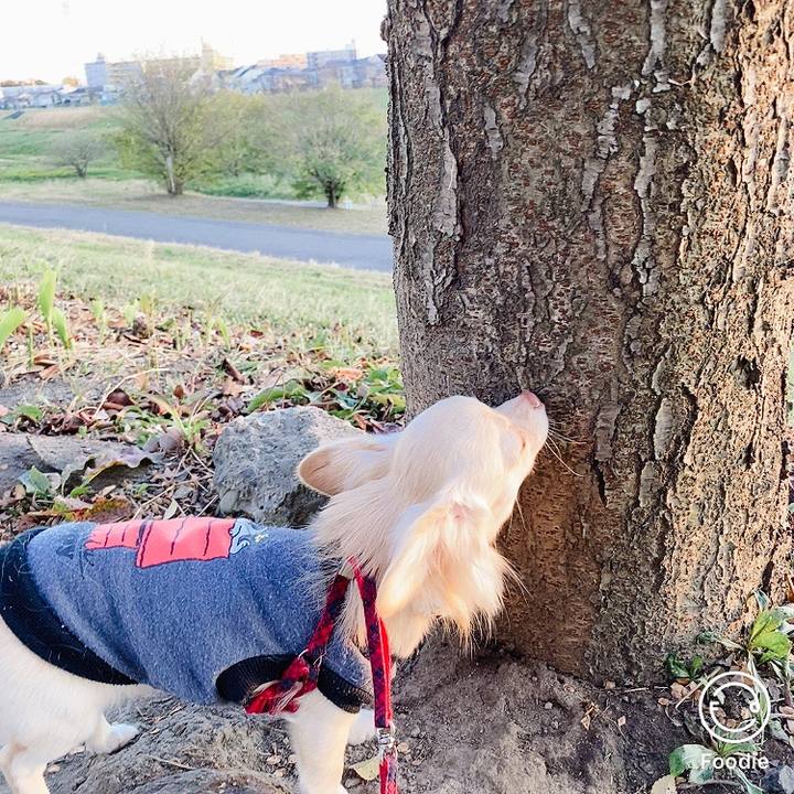 E34e587d 2037 4e9b a3a9 b36e6e46342a 1607081611053