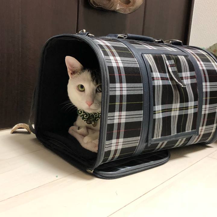 E34e6c63 1277 4e39 83d4 7e6499be2eb8 1534349445719