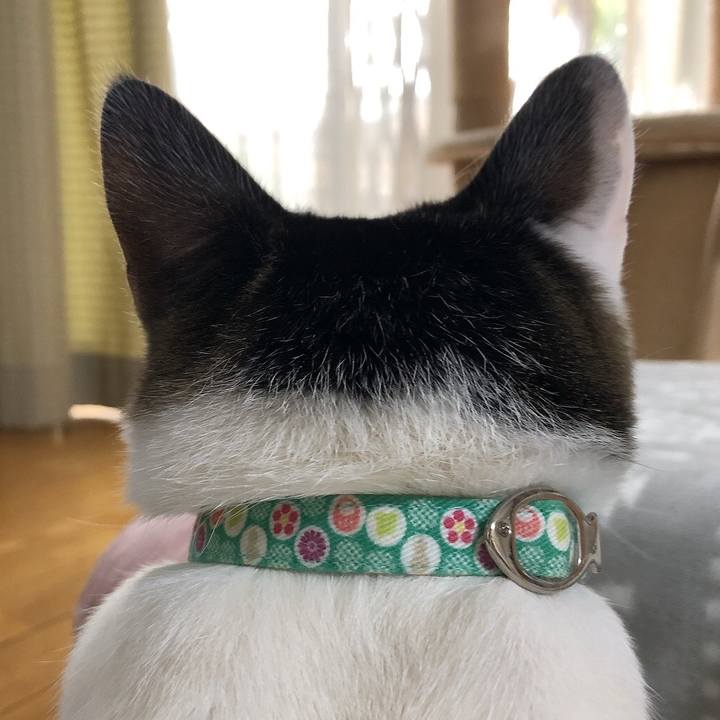 E34e7127 4755 483e 95bd 1ad669a71e6c 1645239789646