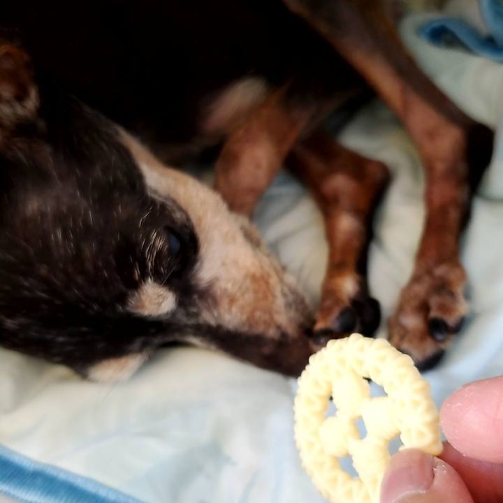 E34eaaec 9d99 410d 8dd3 60efd2a2fde1 1715422532857