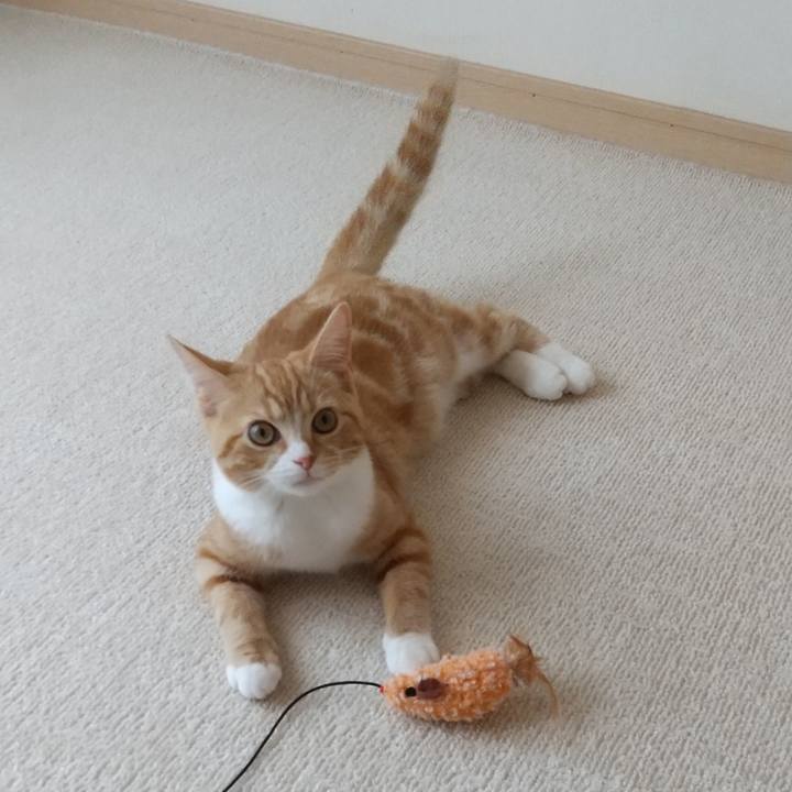 E34ee00a ac91 4c55 9281 ff85481b9810 1623841851678