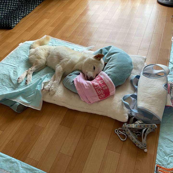 E34ef20c f840 4665 bd75 bb80d898ea64 1662016759747