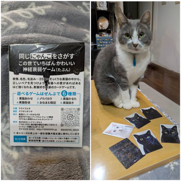 E34f4332 3d78 4102 90de 252066f2f64b 1765184835255