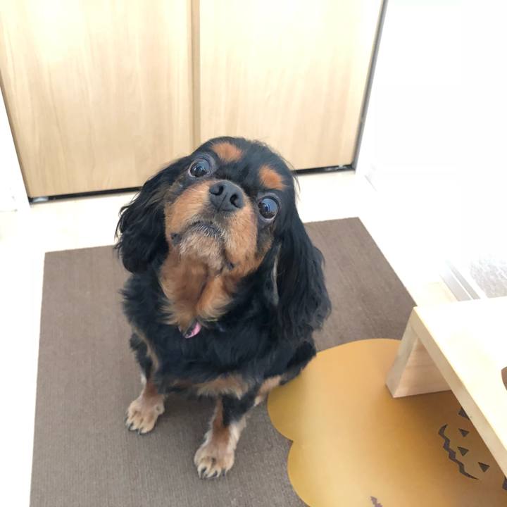 E34f59da eee5 405d b7e1 19a4d5b55829 1549108332864