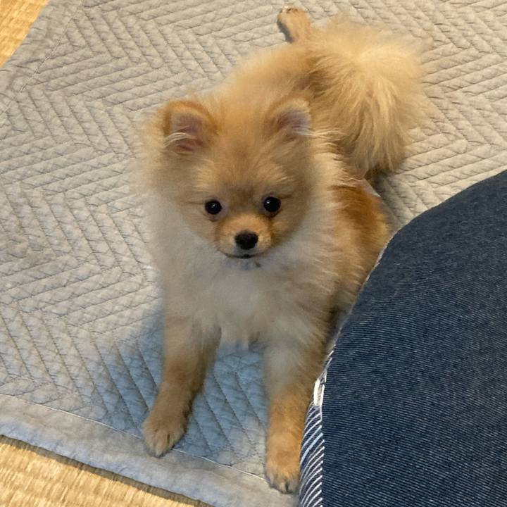 E34f705e 397c 42c7 884f 55726cde4ddf 1642925889752