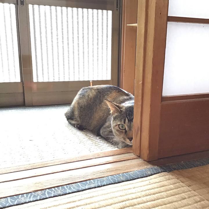 E34f70ed cd43 4131 851e 8bb38b286cb8 1621989963264