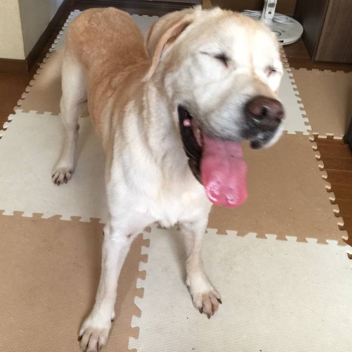 E34f89ab 7a86 4cc1 a343 de08094d62a6 1539498925731