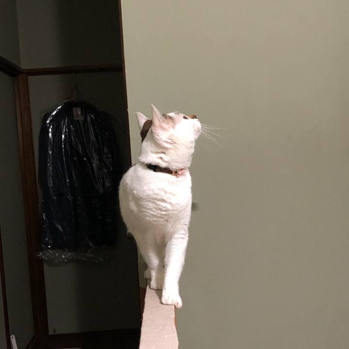 E34f8fc7 6389 4410 930a 62c9e48879d8 1522239664815