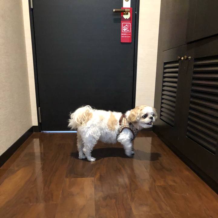 E34fa537 b9e3 4b5c 8450 c08e2cd4f6fa 1537059141912