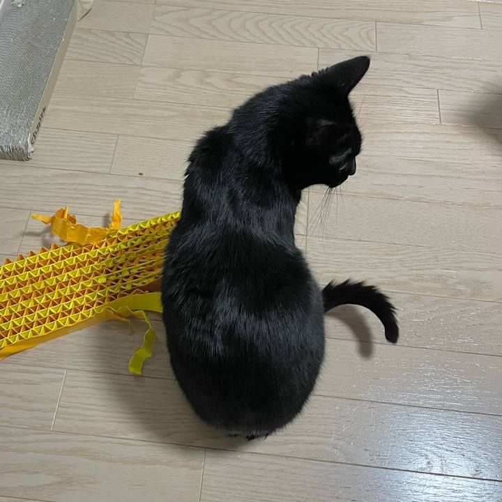 E34fb48f 2bc5 4179 b2d4 3e3fa204e16b 1674650814584