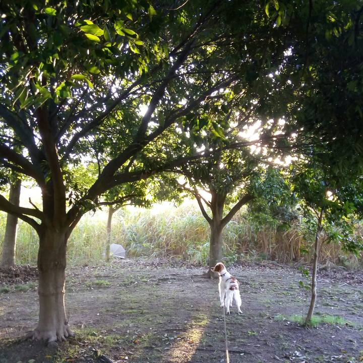 E34fff7e 817b 4459 b998 cebc57d67149 1511241459741