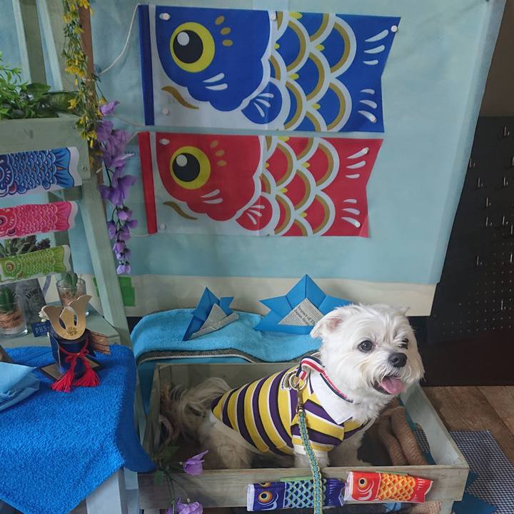 E3501364 f56e 4f26 bcf1 7c819a66183e 1651320727472