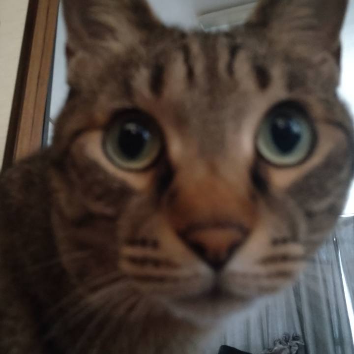 E35022e3 e5a6 413f 9adc eeceaa45f370 1682722427450