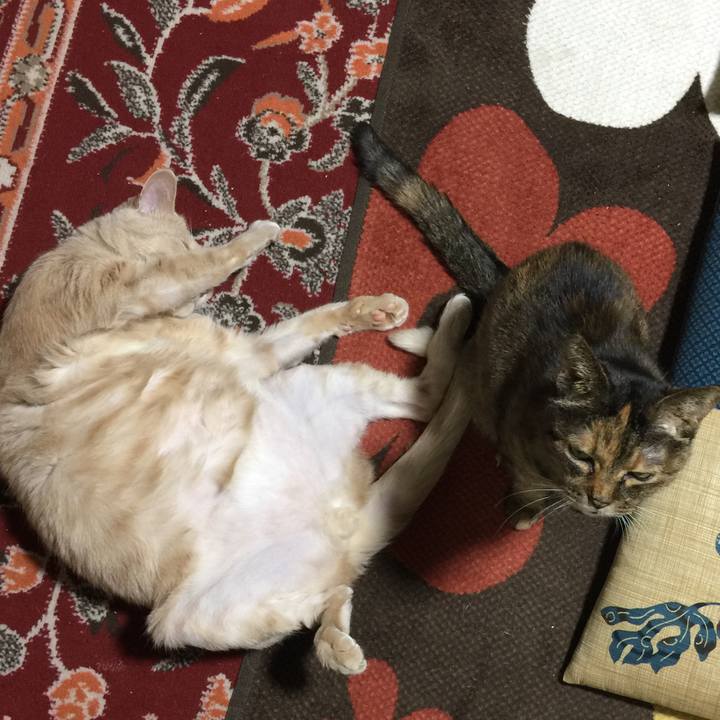 E35026a6 6d83 4989 bd74 a0f225354dfd 1582809980215