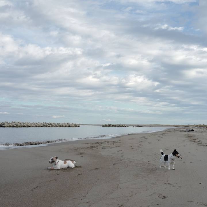 E35042ef 484b 4568 8e21 ef746f145c34 1507956061476