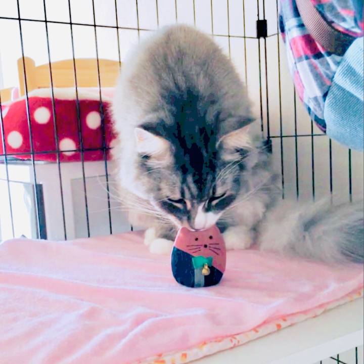 E35055c7 fa90 43e4 aa47 b23c70329220 1565146708187