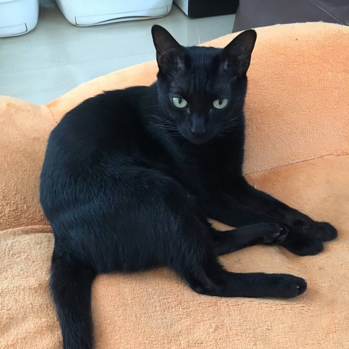 E3507bbe 1e42 44a0 b98d fb0b5a098c31 1566260919862