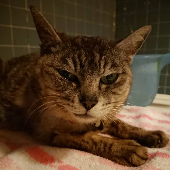 E350914d c0f6 4dc2 8265 76cee39fd086 1596277184415