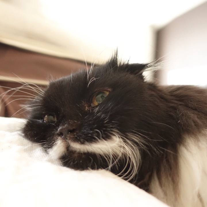 E350b93c 0a32 4a29 b1a1 00754eb17a75 1578025820523