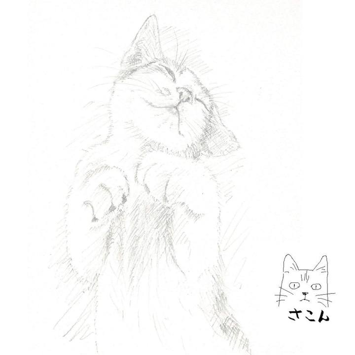 E350c9d6 8a8b 40d0 bb17 ba032302f0cb 1533276452832