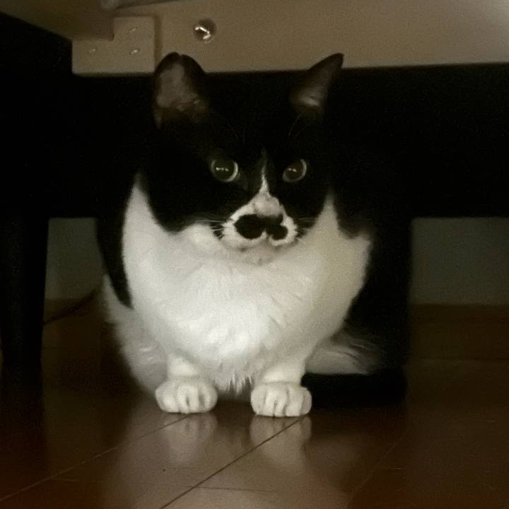 E350cb0c e985 4d5e b50a f216ff6c1b54 1677502547214