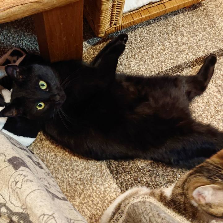 E350f80c 717e 4e85 b1fe ef44a2501d85 1549117204960