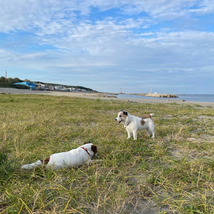 E3510aa2 4414 4d19 b114 ec64ee63c603 1728950289160