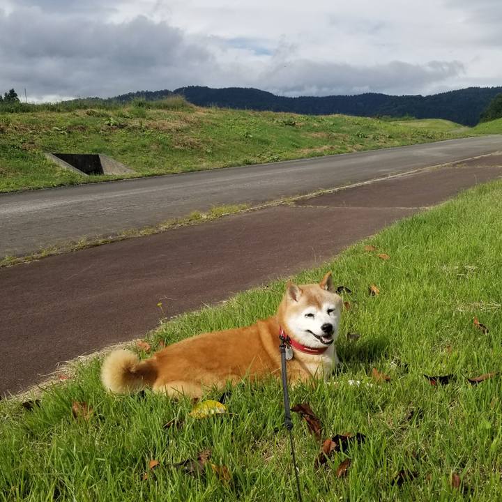 E35116d2 f49c 434a 9be3 1e314f20f359 1728260604329