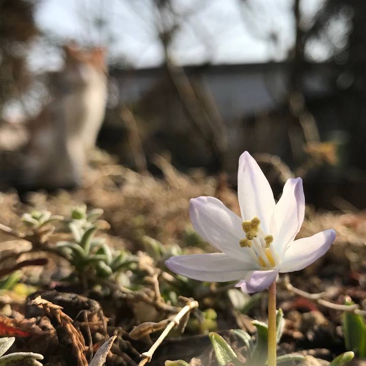 E35138bd 08fe 40c3 90b3 9ebe213e6762 1520923727113