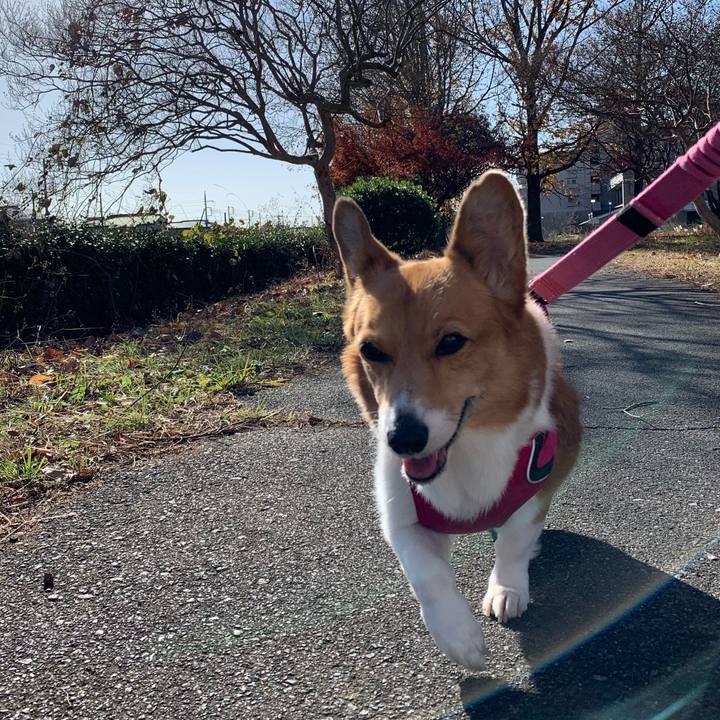 E35154d6 1f16 43ed 89b7 8c77c7a59753 1702002144580