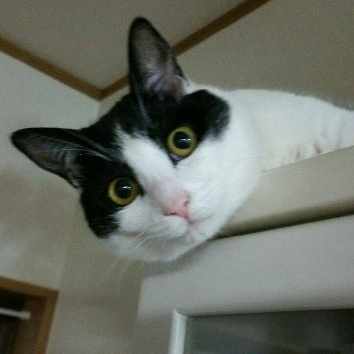 E35164f2 38de 45fe 85cd f5ec7d8aaecd 1514030901448