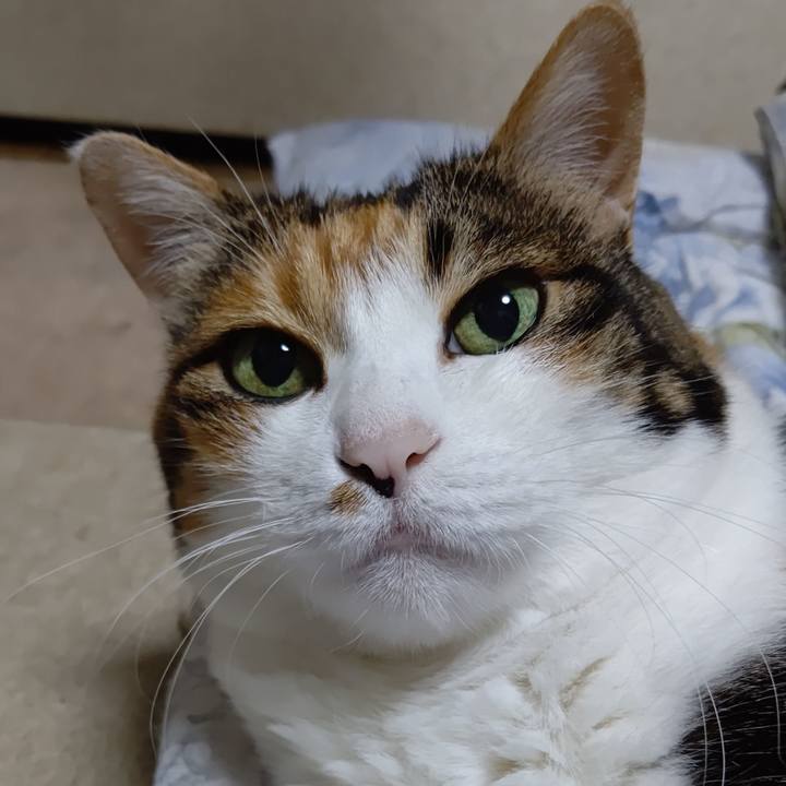 E351751e e297 4905 84ea 75ae4fa146c9 1597398837368