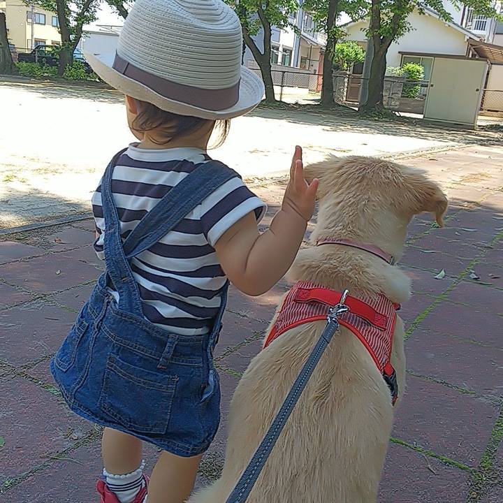 E3519efe 8099 477a 94bf 8f35d35d0bc9 1526113256121