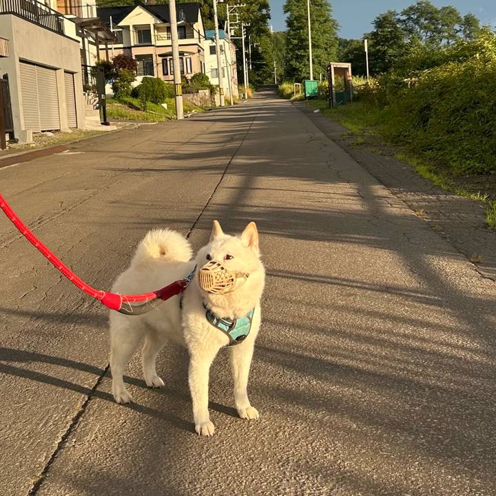 E351ca42 969d 464f 8107 b255577323f5 1754427446839