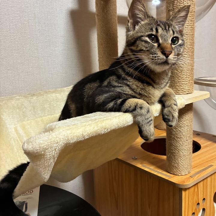 E351ecfd ffde 4c18 8226 545a29313b5c 1753708327198